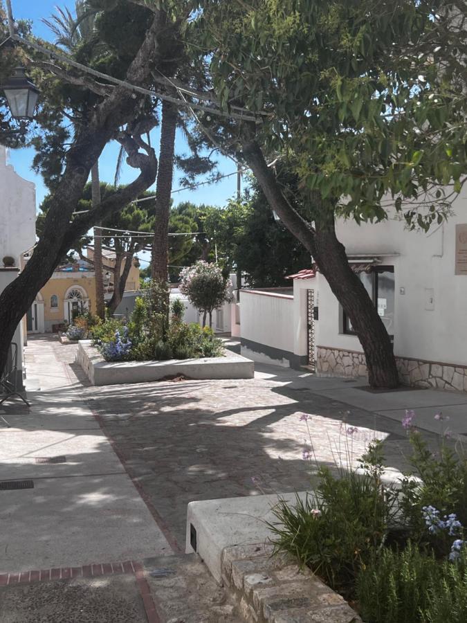 Casa Dora Bed & Breakfast Anacapri  Luaran gambar